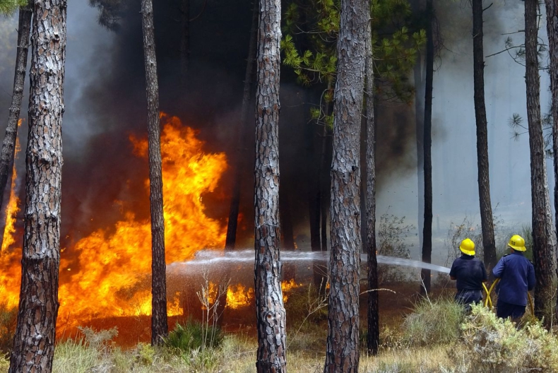 Duży pożar lasów w Portugalii - ZielonaGospodarka.pl