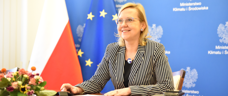 Minister Moskwa o wyzwaniach sektora energetycznego - ZielonaGospodarka.pl