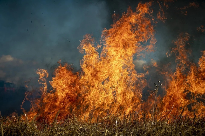 Strażacy apelują o niewypalanie traw; w weekend ponad 240 pożarów - ZielonaGospodarka.pl