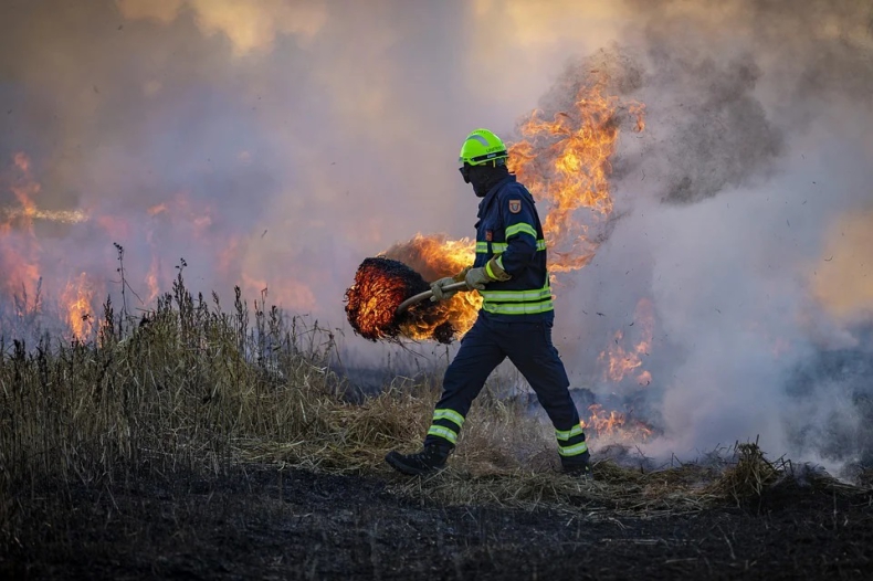 PSE: wypalanie traw zagraża sieciom energetycznym - ZielonaGospodarka.pl