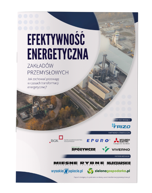 Premiera raportu „Efektywność energetyczna zakładów przemysłowych". - ZielonaGospodarka.pl