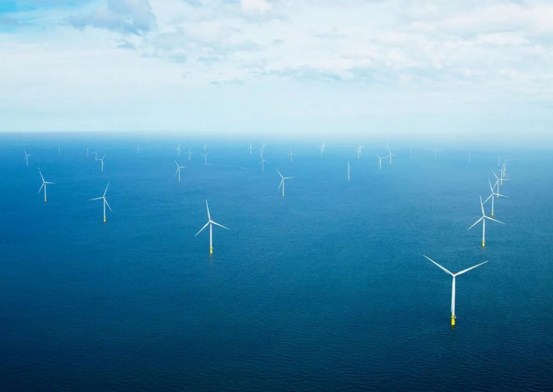 Ørsted i TotalEnergies powalczą wspólnie o projekty offshore wind w Niderlandach - ZielonaGospodarka.pl