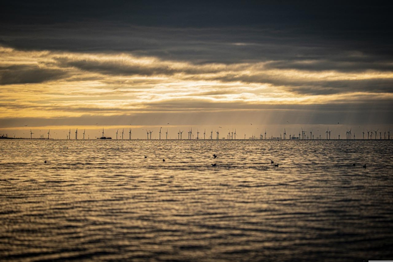 Wielka Brytania powołała pełnomocnika ds. rozwoju morskiej energetyki wiatrowej  - ZielonaGospodarka.pl