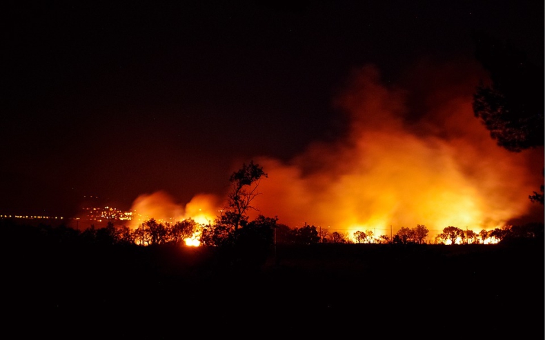 W prowincji Zamora spłonęło ponad 30 tys. ha lasów i nieużytków rolnych - ZielonaGospodarka.pl