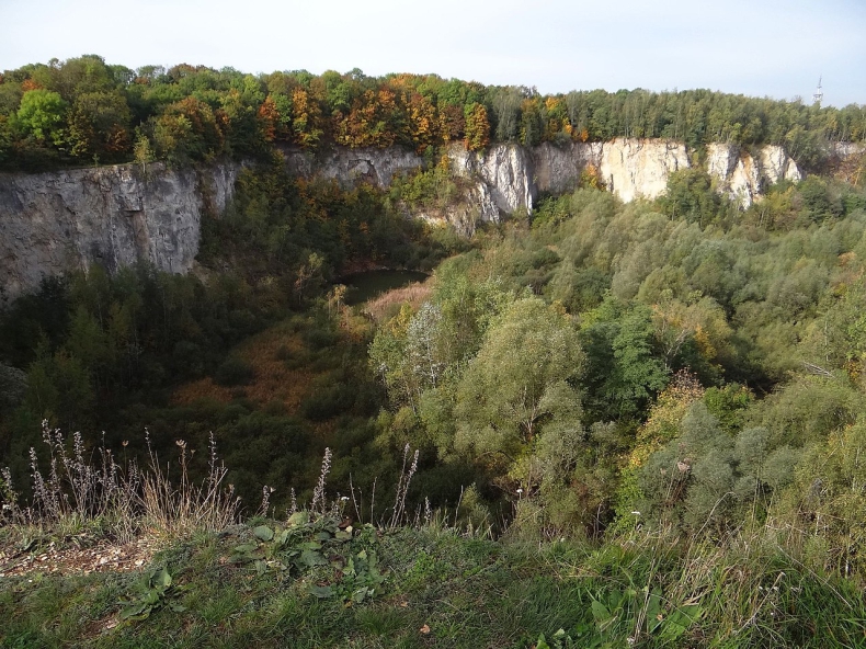 Władze Krakowa chcą ustanowić użytek ekologiczny na terenie dawnego Kamieniołomu Libana - ZielonaGospodarka.pl