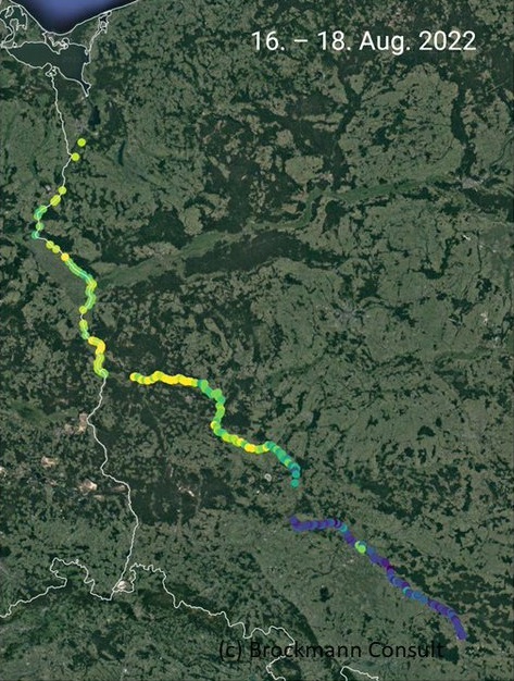  Zdjęcia satelitarne potwierdzają zakwit alg w Odrze - ZielonaGospodarka.pl