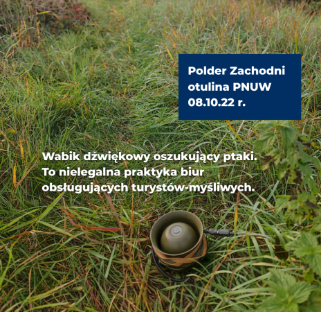 PN Ujście Warty ze strefą ochronną. Rząd zwalcza nielegalne praktyki myśliwych-ZielonaGospodarka.pl