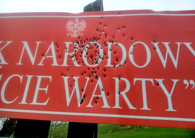 PN Ujście Warty ze strefą ochronną. Rząd zwalcza nielegalne praktyki myśliwych-ZielonaGospodarka.pl