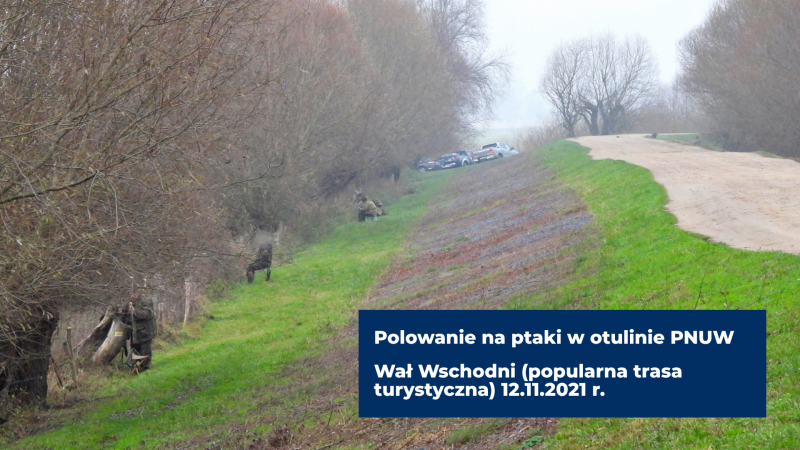 PN Ujście Warty ze strefą ochronną. Rząd zwalcza nielegalne praktyki myśliwych-ZielonaGospodarka.pl